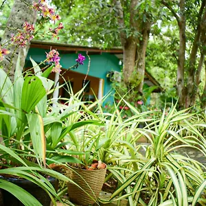 Palitha Homestay Sigiriya
